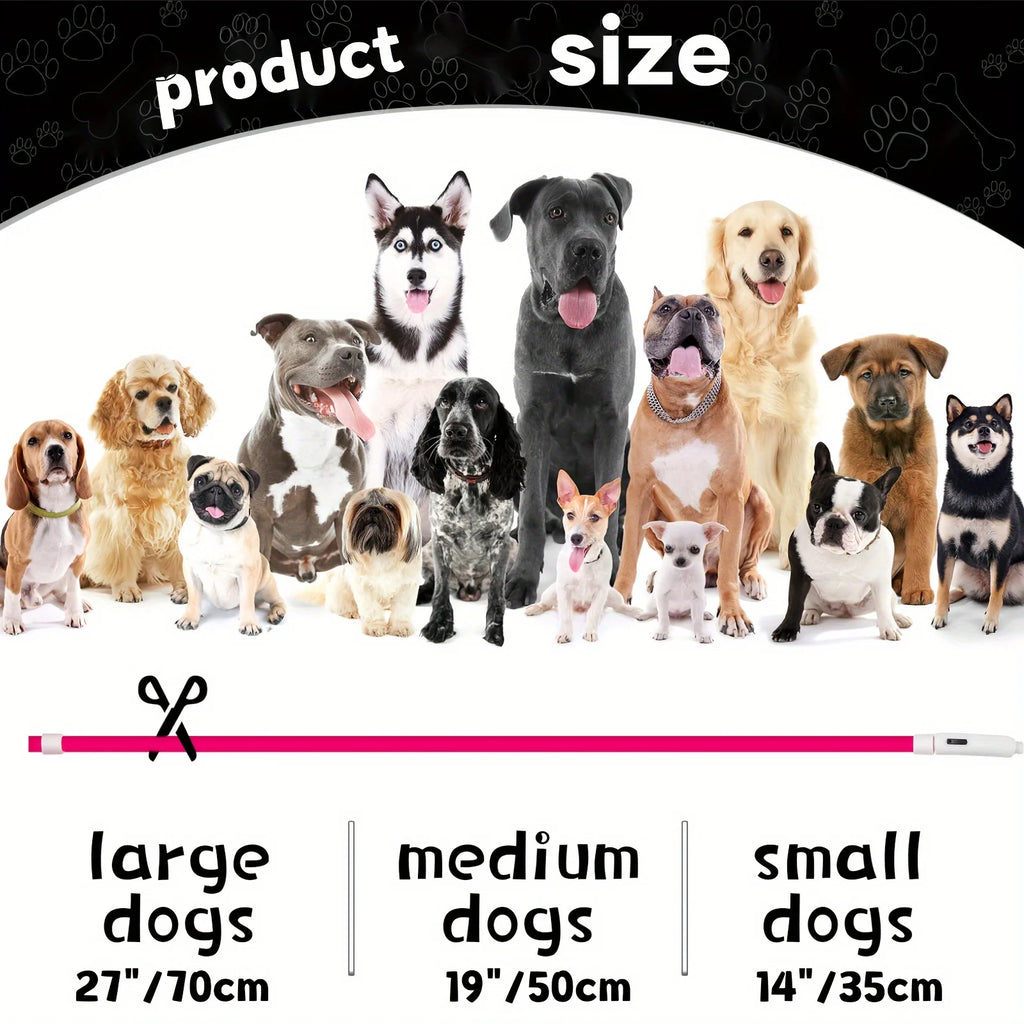 Obroża LED dla psa z możliwością ładowania USB