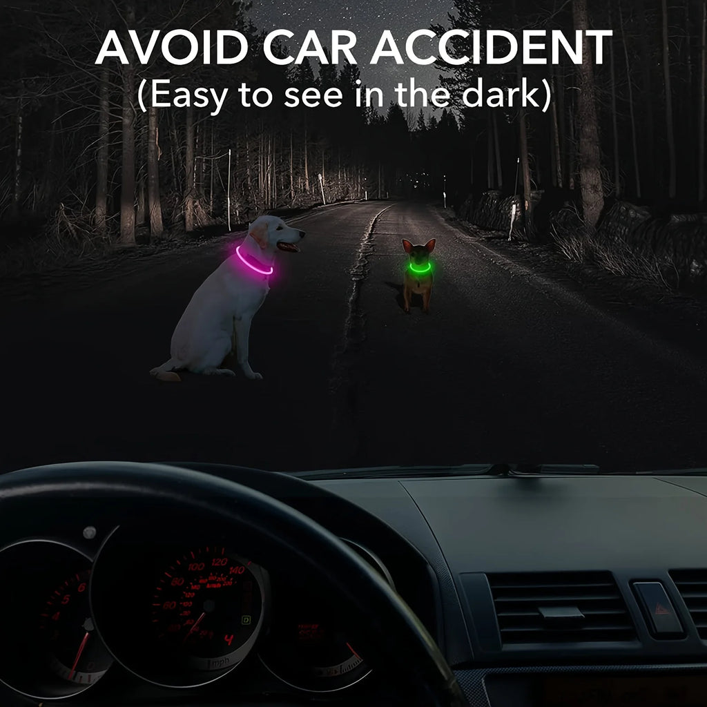 Obroża LED dla psa z możliwością ładowania USB